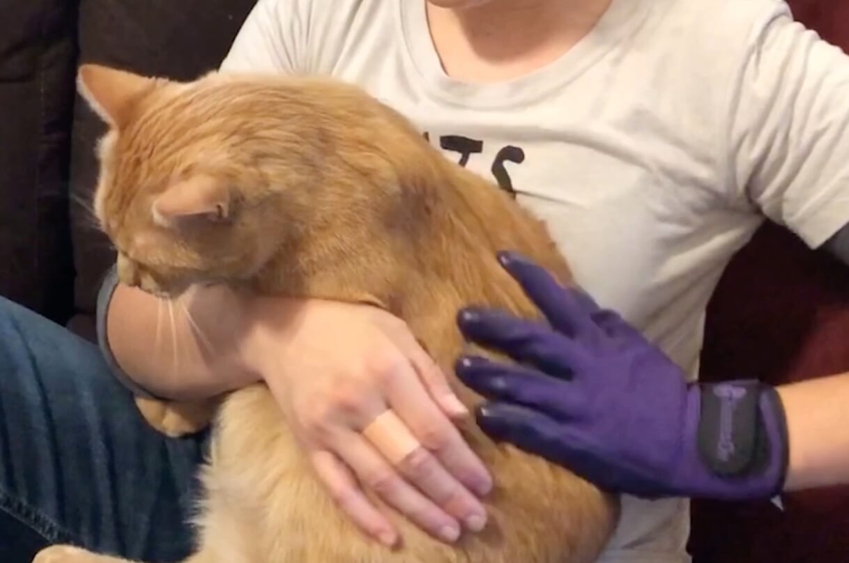 ""